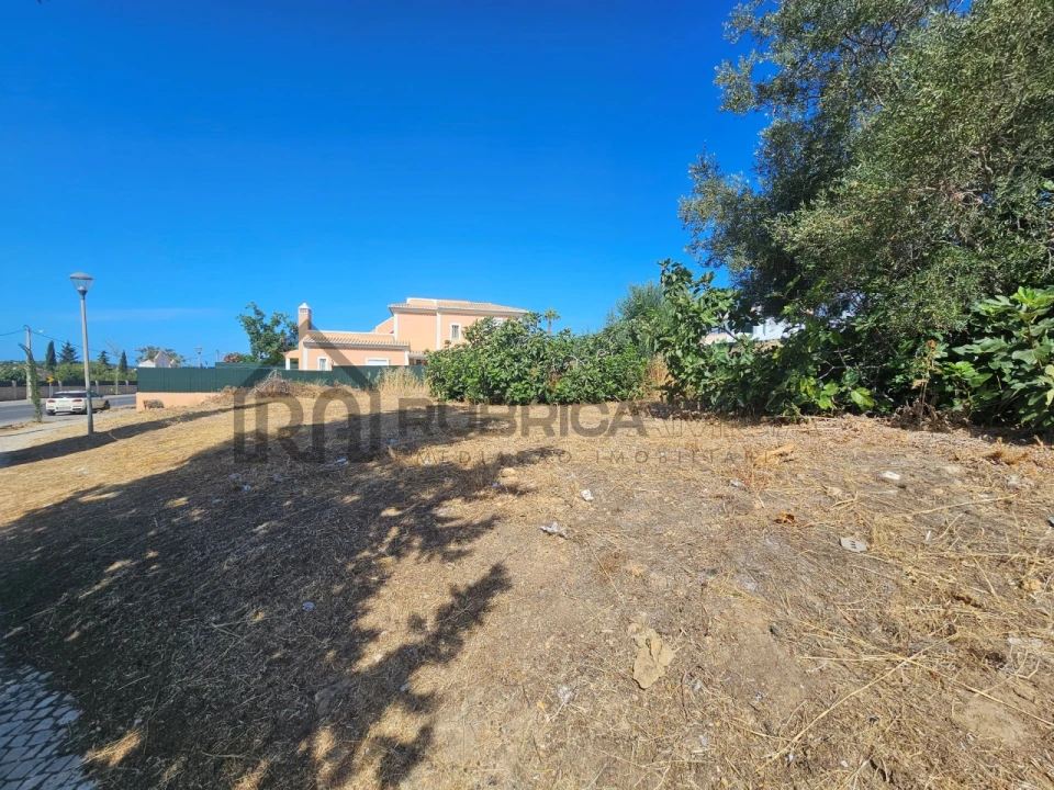 Terreno para Venda em Almancil Foto 3
