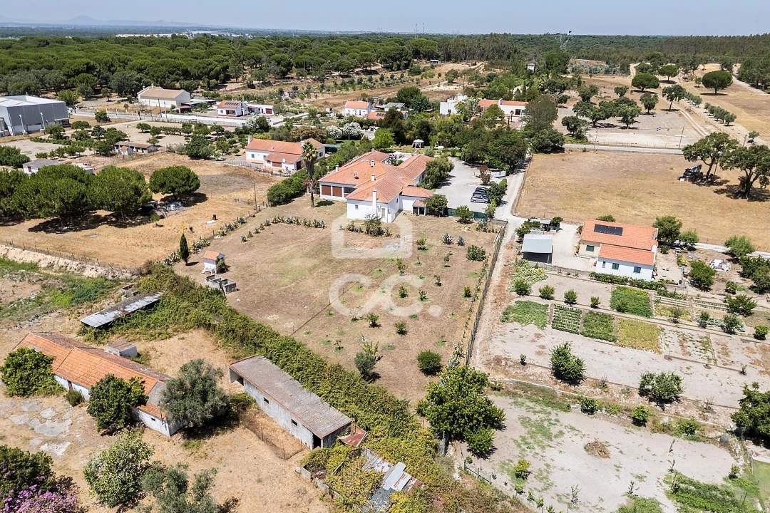 Quinta T8 para Venda em Landeira Foto 88
