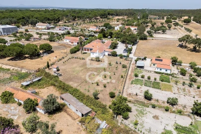 Quinta T8 para Venda em Landeira