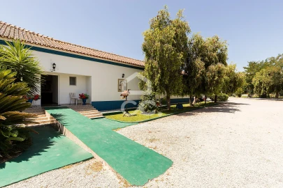 Quinta T8 para Venda em Landeira