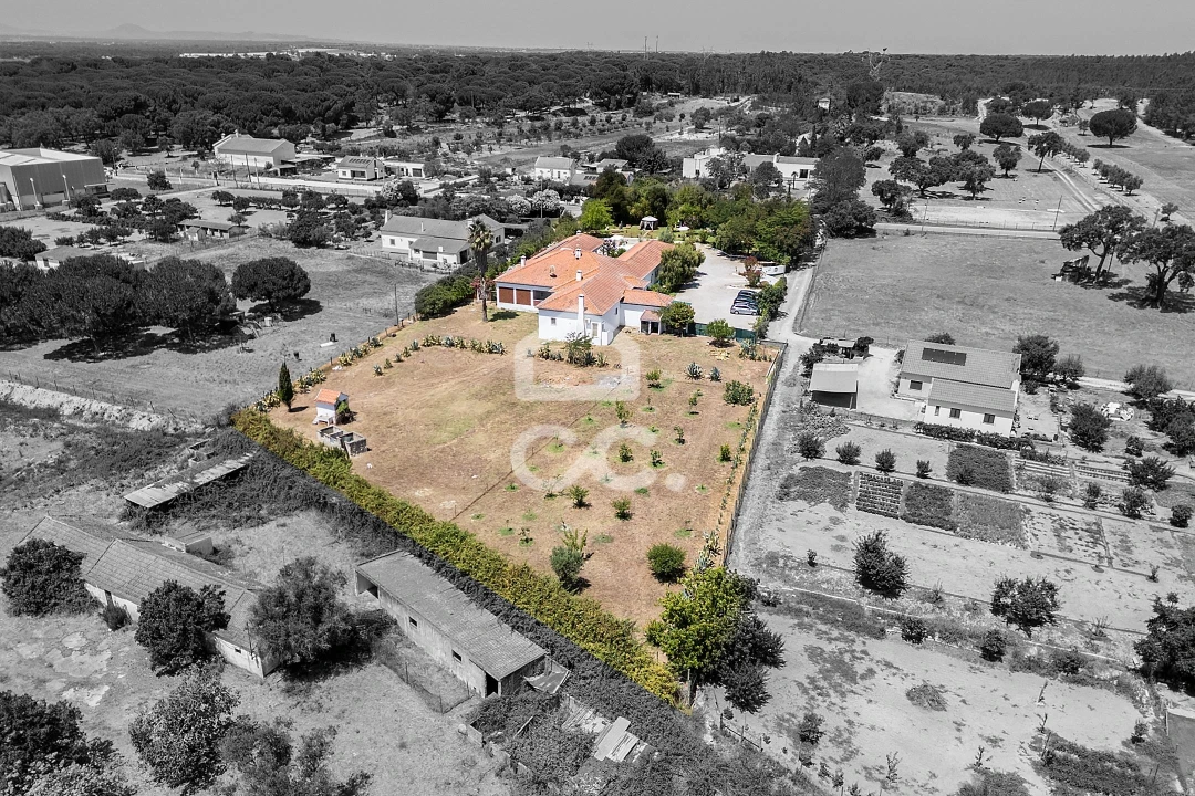 Quinta T8 para Venda em Landeira Foto 3