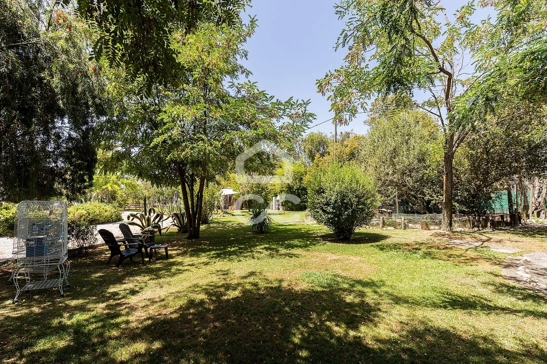 Quinta T8 para Venda em Landeira Foto 56