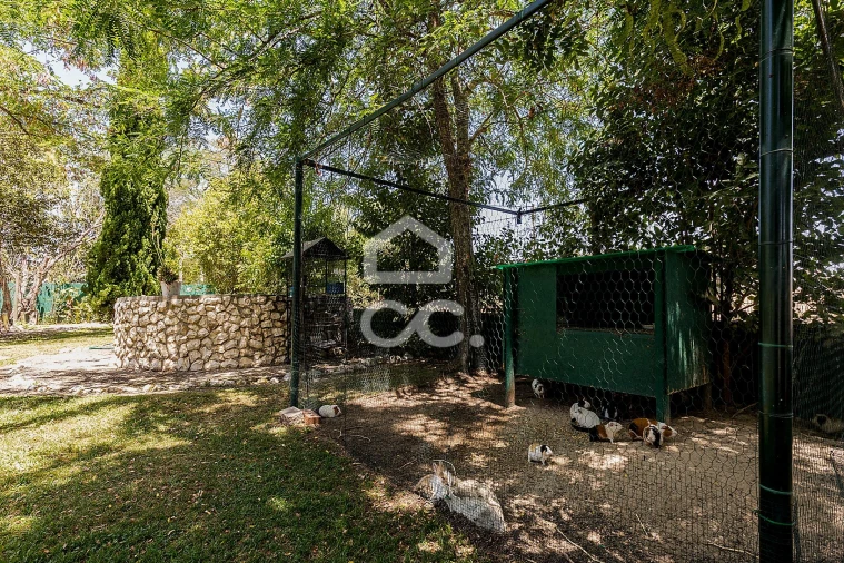 Quinta T8 para Venda em Landeira Foto 57