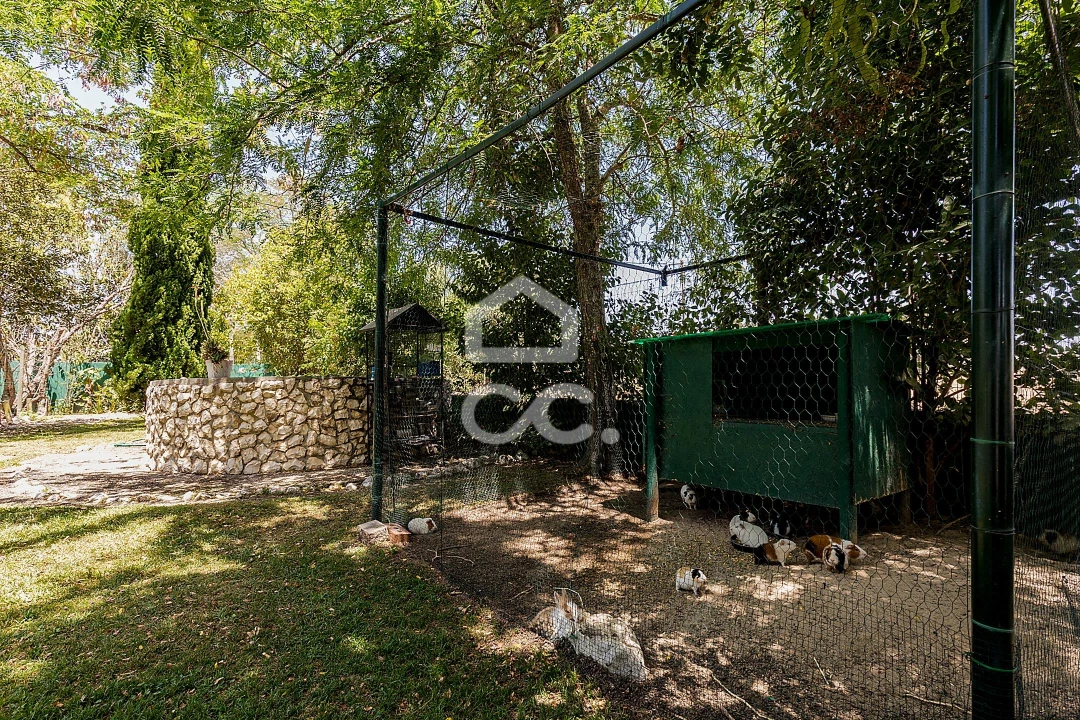 Quinta T8 para Venda em Landeira Foto 57