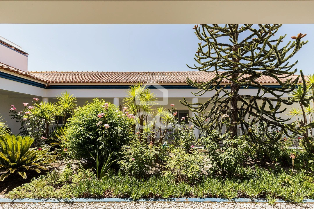 Quinta T8 para Venda em Landeira Foto 55