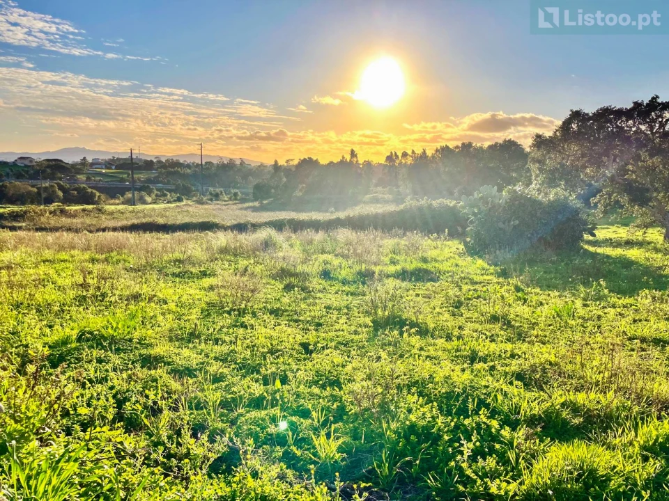 Terreno para Venda em Igreja Nova e Cheleiros Foto 5