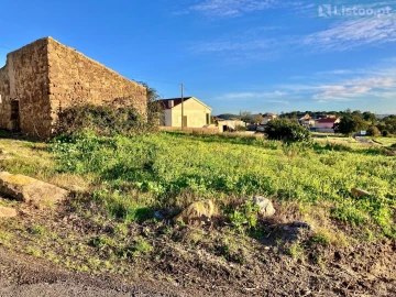 Terreno para Venda em Igreja Nova e Cheleiros