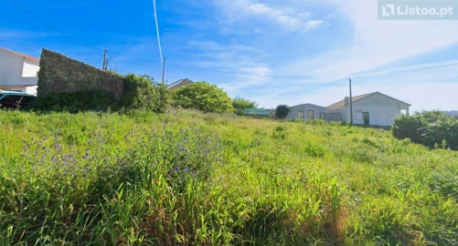 Terreno para Venda em Igreja Nova e Cheleiros