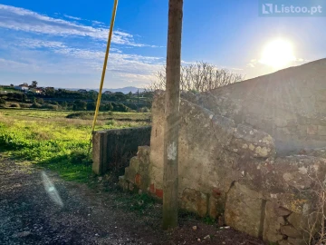 Terreno para Venda em Igreja Nova e Cheleiros
