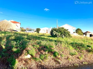 Terreno para Venda em Igreja Nova e Cheleiros