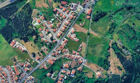 Terreno para Venda em Igreja Nova e Cheleiros