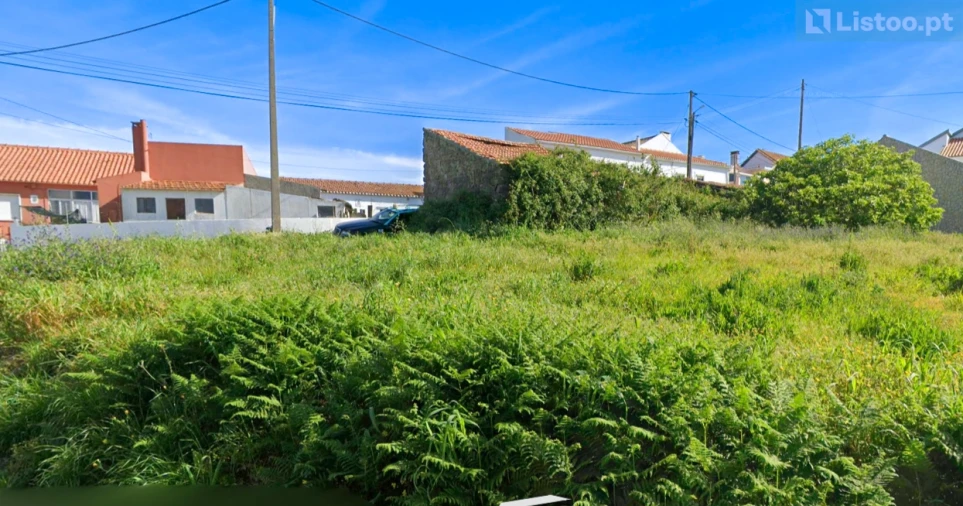 Terreno para Venda em Igreja Nova e Cheleiros Foto 7