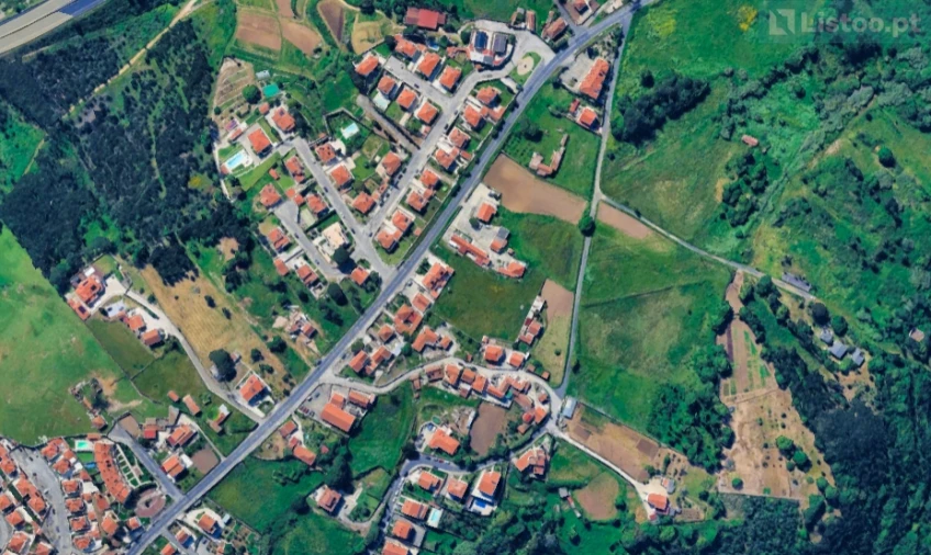 Terreno para Venda em Igreja Nova e Cheleiros Foto 18