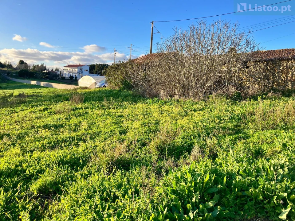 Terreno para Venda em Igreja Nova e Cheleiros Foto 3