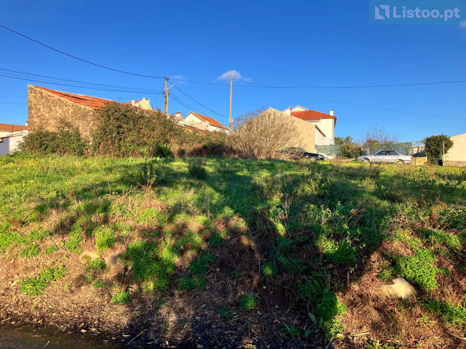 Terreno para Venda em Igreja Nova e Cheleiros Foto 4