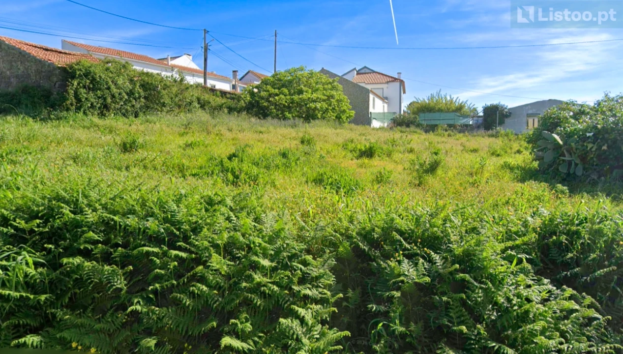 Terreno para Venda em Igreja Nova e Cheleiros Foto 12