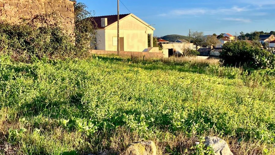 Terreno para Venda em Igreja Nova e Cheleiros
