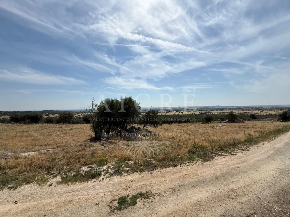 Moradia T3 para Venda em São Gregório e Santa Justa Foto 29