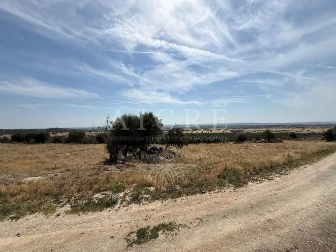Moradia T3 para Venda em São Gregório e Santa Justa Foto 29