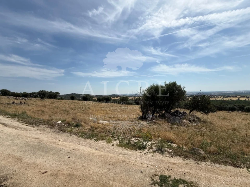 Moradia T3 para Venda em São Gregório e Santa Justa Foto 27