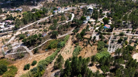 Terreno para Venda em Montargil