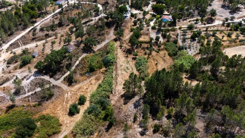 Terreno para Venda em Montargil