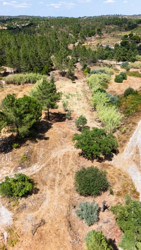 Terreno para Venda em Montargil