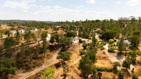 Terreno para Venda em Montargil
