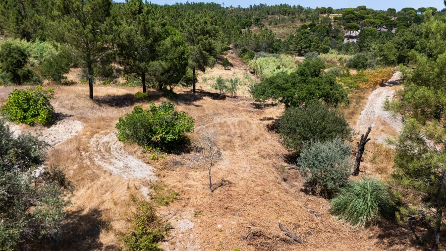 Terreno para Venda em Montargil Foto 9