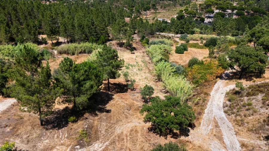 Terreno para Venda em Montargil Foto 8