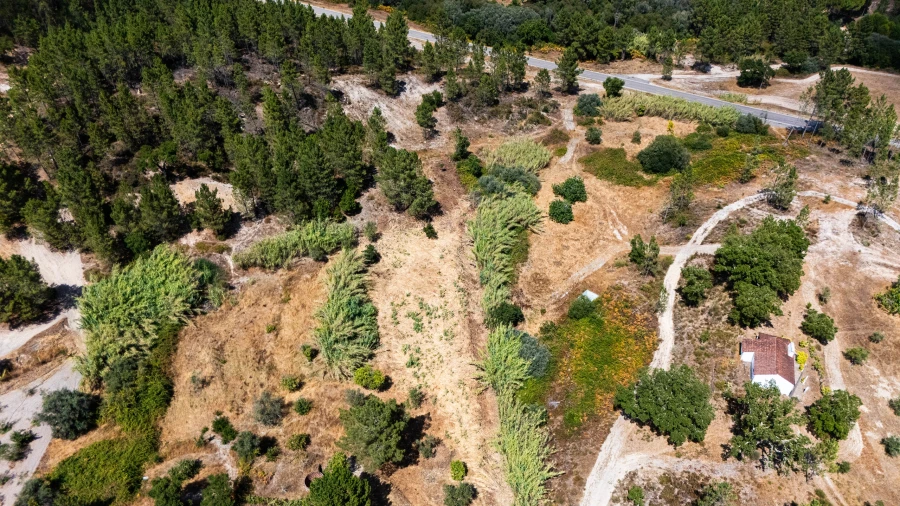 Terreno para Venda em Montargil Foto 7