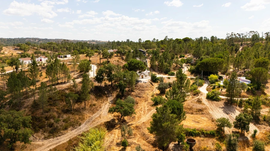 Terreno para Venda em Montargil Foto 12