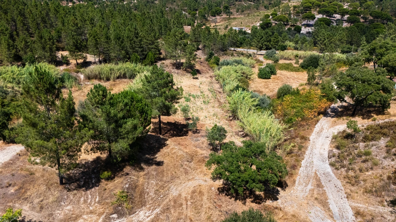 Terreno para Venda em Montargil Foto 8