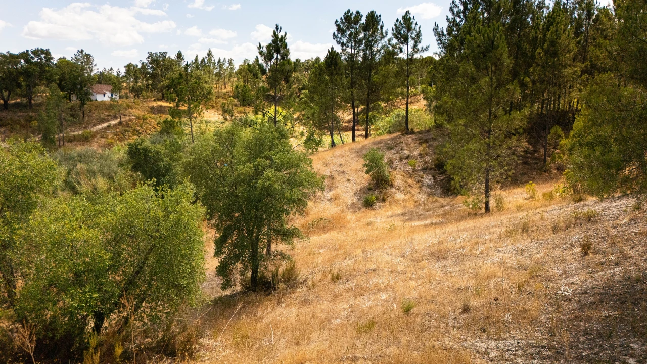 Terreno para Venda em Montargil Foto 11
