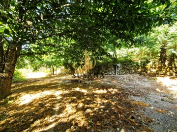 Quinta T3 para Venda em Gove