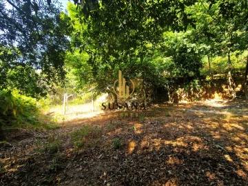 Quinta T3 para Venda em Gove