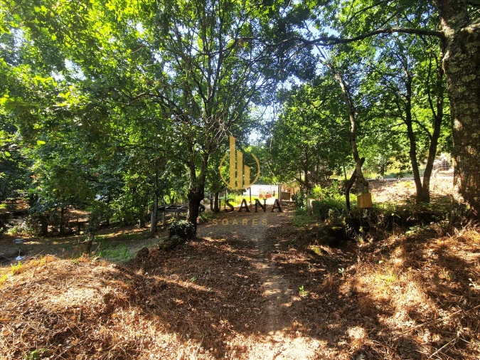 Quinta T3 para Venda em Gove Foto 33
