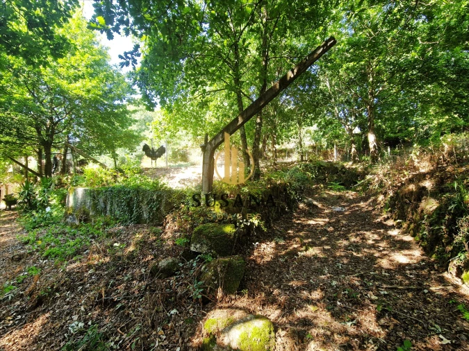 Quinta T3 para Venda em Gove Foto 34