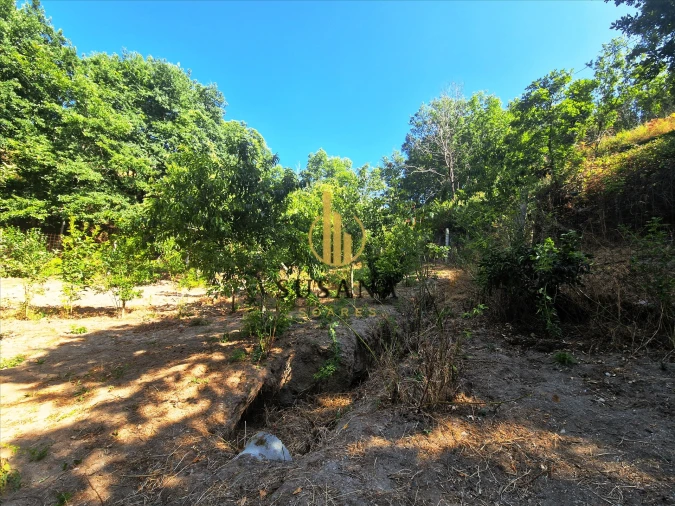 Quinta T3 para Venda em Gove Foto 25