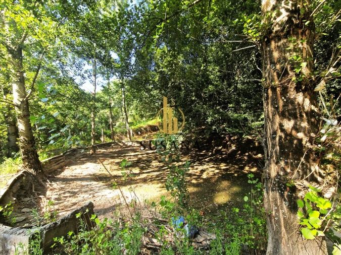 Quinta T3 para Venda em Gove Foto 50