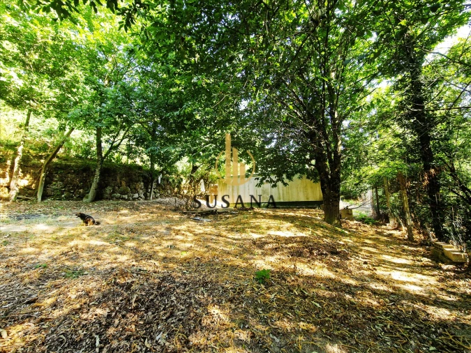 Quinta T3 para Venda em Gove Foto 63
