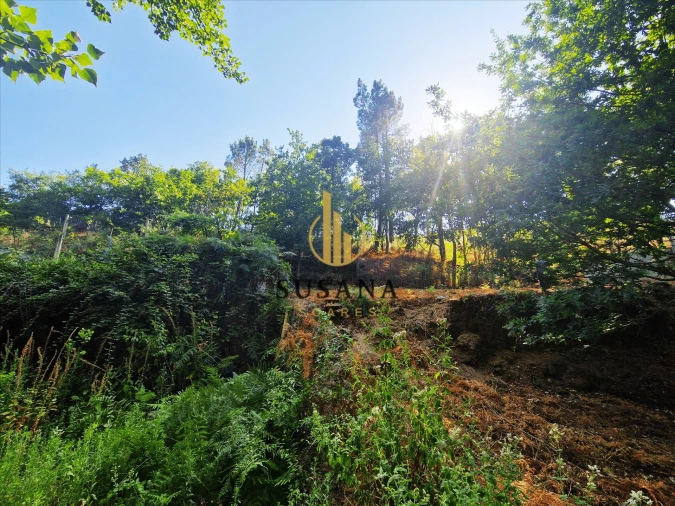 Quinta T3 para Venda em Gove Foto 45