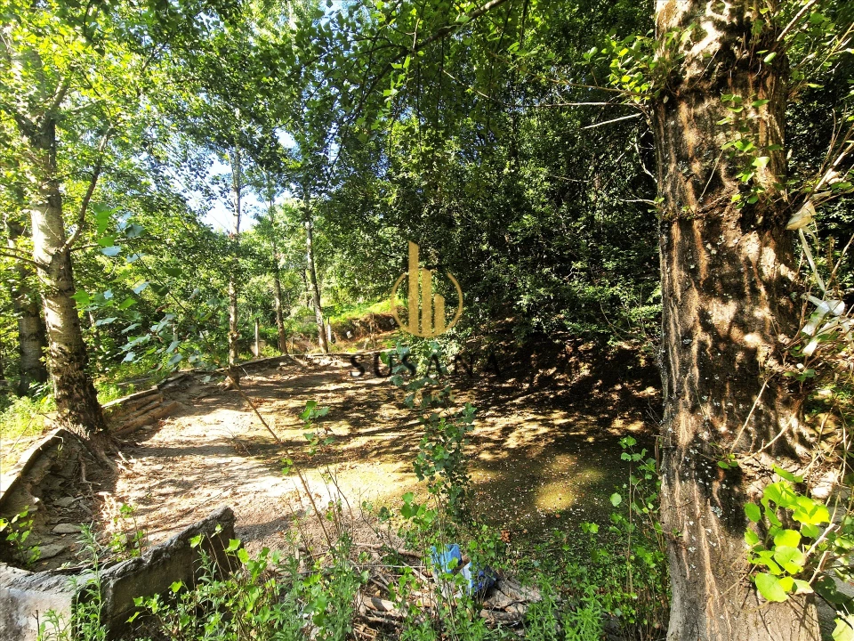 Quinta T3 para Venda em Gove Foto 50