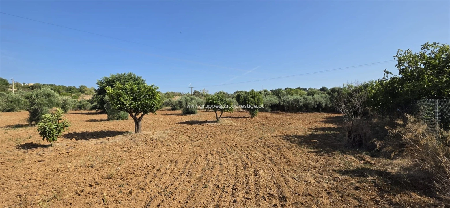 Terreno Agricola ou Rústico para Venda em Quelfes Foto 5