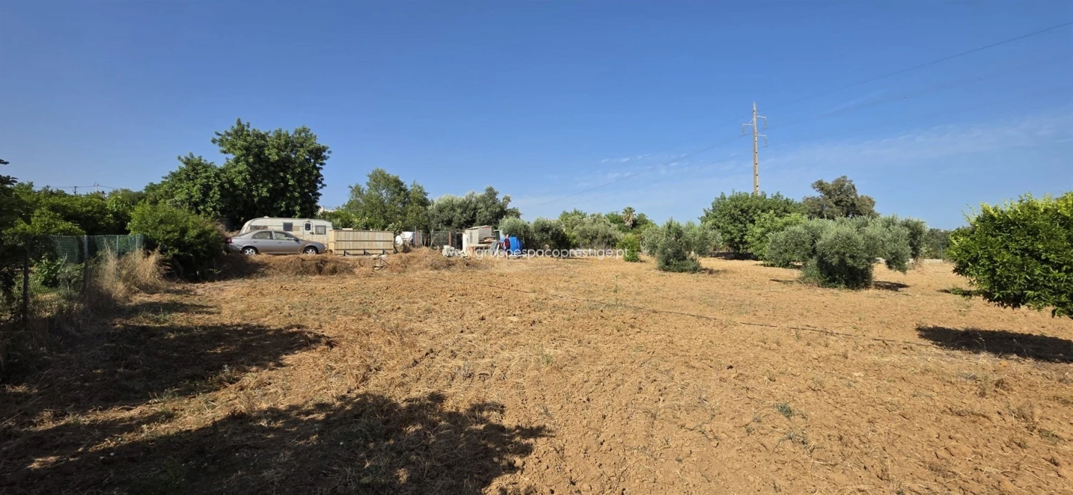 Terreno Agricola ou Rústico para Venda em Quelfes Foto 4