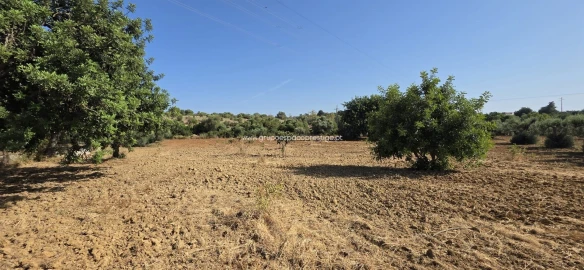 Terreno Agricola ou Rústico para Venda em Quelfes