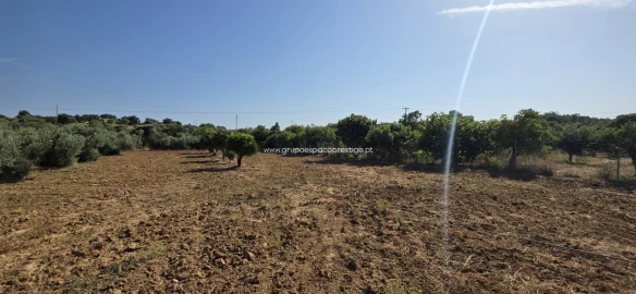 Terreno Agricola ou Rústico para Venda em Quelfes