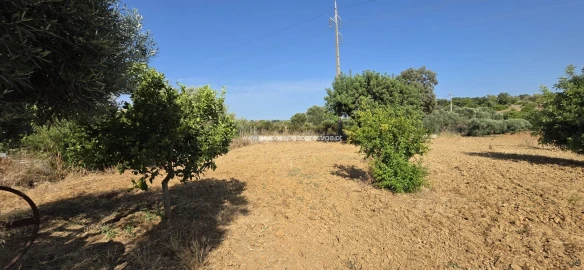 Terreno Agricola ou Rústico para Venda em Quelfes