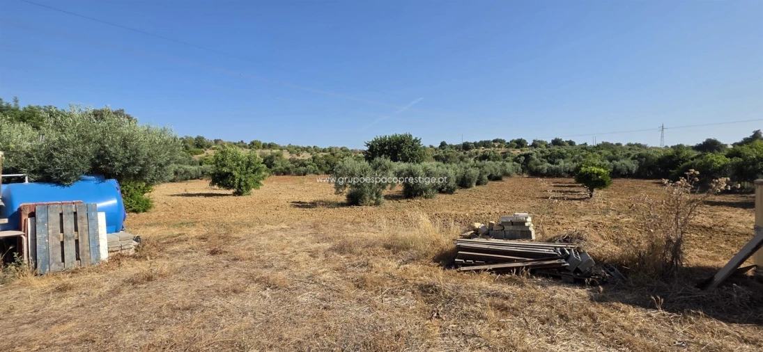 Terreno Agricola ou Rústico para Venda em Quelfes Foto 9