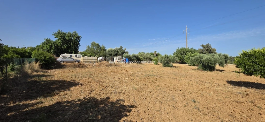 Terreno Agricola ou Rústico para Venda em Quelfes Foto 4